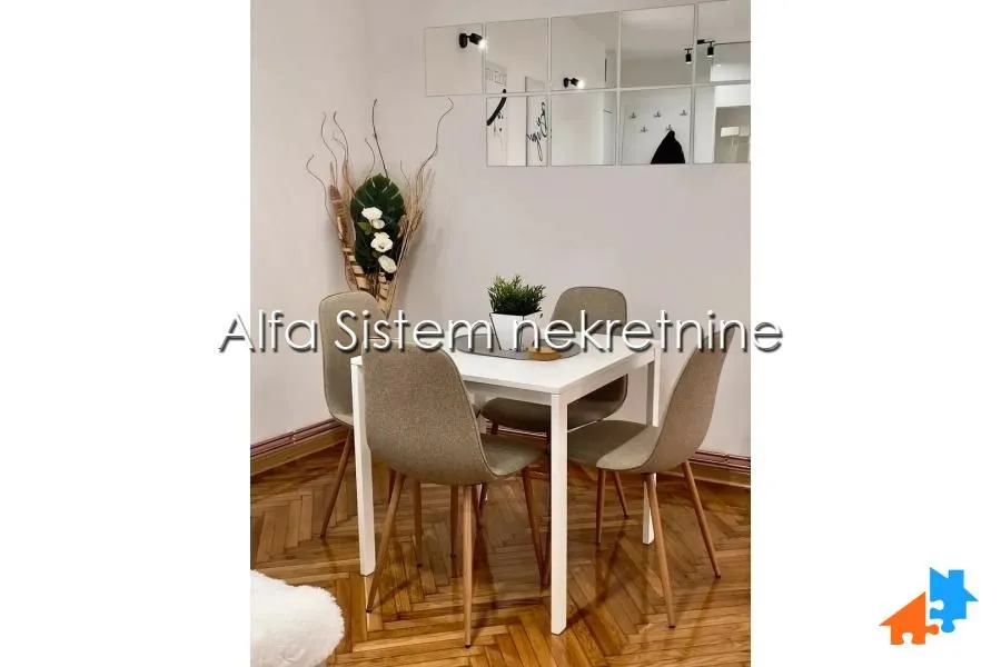Izdavanje, dvosoban stan, 47m², Vračar Sve Podlokacije, Beograd