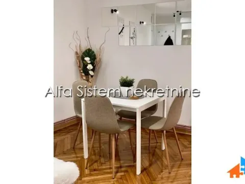 Izdavanje, dvosoban stan, 47m², Vračar Sve Podlokacije, Beograd - image 6