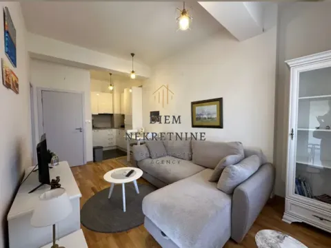 Izdavanje, jednosoban stan, 37m², Ljubović, Podgorica - image 10