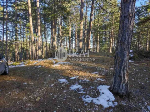 Sale, land lot, 1272m², Tara, Srbija - image 2