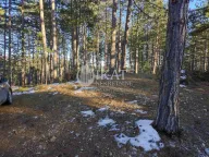 Prodaja, plac, Tara, Srbija - image 2