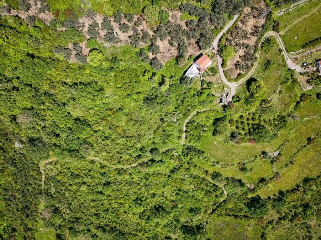 Sale, land lot, 1227m², Dobre Vode, Bar