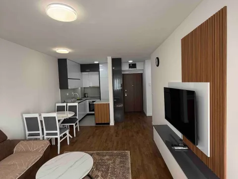 Rent, one bedroom apartment, 47m², Stari Aerodrom, Podgorica - image 1