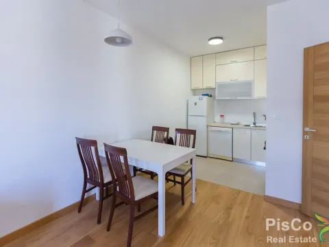 Izdavanje, jednosoban stan, 50m², New City, Podgorica - image 6