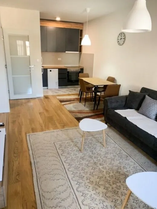 Izdavanje, jednosoban stan, 48m², Central Point, Podgorica