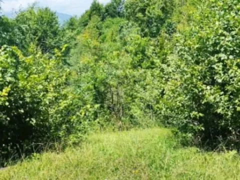 Sale, land lot, 3021m², Vladoš, Kolašin - image 2