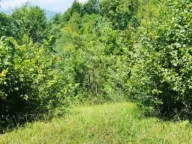 Sale, land lot, 3021m², Vladoš, Kolašin - image 2