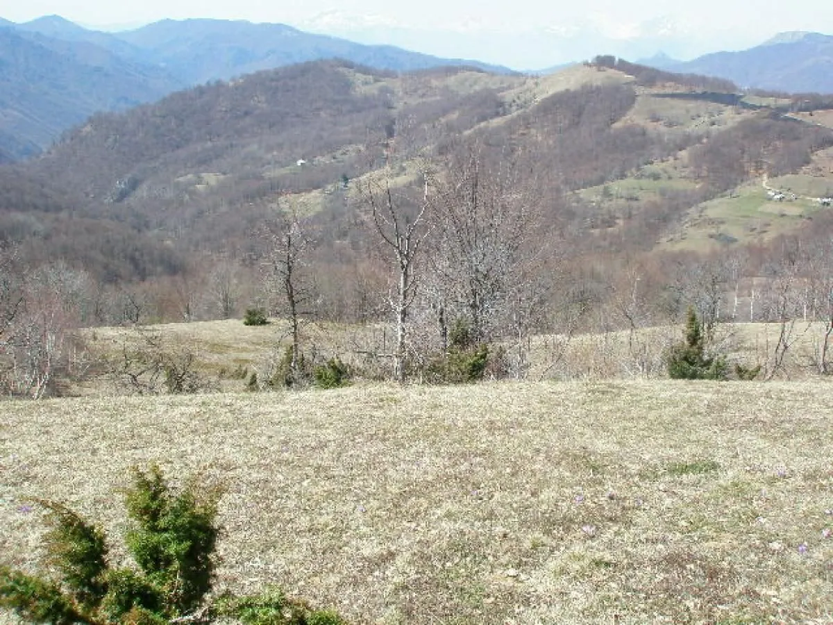 Prodaja, plac, 130000m², Kolašin, Crna Gora