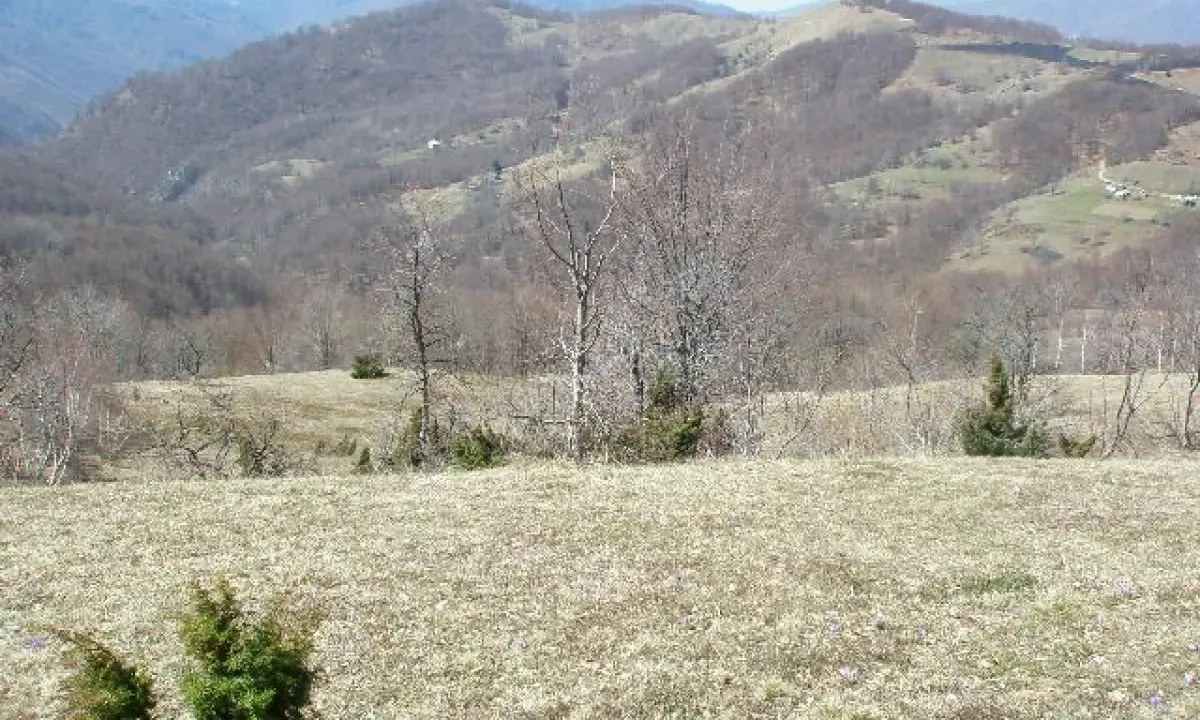Sale, land lot, 130000m², Kolašin, Crna Gora