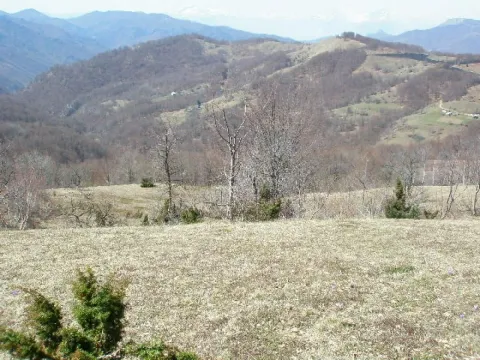 Prodaja, plac, 130000m², Kolašin, Crna Gora