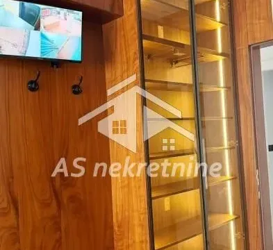 Rent, four bedroom apartment, 275m², Vračar Hram, Vračar Sve Podlokacije - image 24