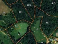 Prodaja, plac, 26500m², Živica, Lučani - image 1