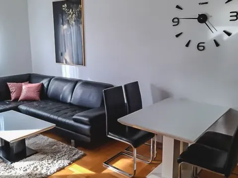 Izdavanje, jednosoban stan, 42m², Tuški Put, Podgorica - image 2