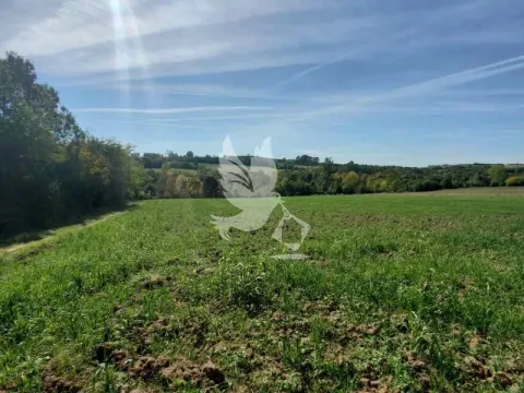 Prodaja, kuća, 100m², Velika Ivanča, Mladenovac - image 3