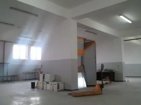 Izdavanje, poslovni prostor, 1700m², Zemun Sve Podlokacije, Beograd - image 5