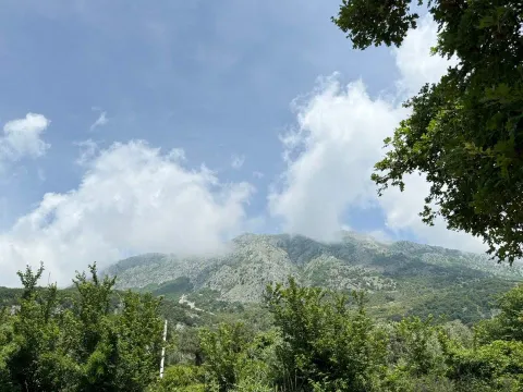 Rent, house, 110m², Dobre Vode, Bar - image 14