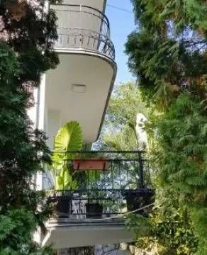 Izdavanje, kuća, 310m², Savski Venac, Beograd - image 9