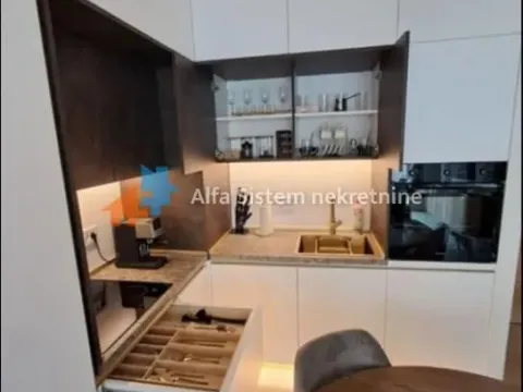 Izdavanje, dvosoban stan, 52m², Savski Venac, Beograd - image 7