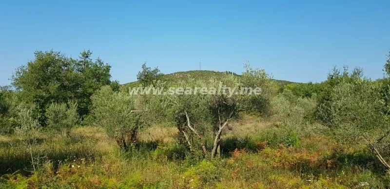 Prodaja, plac, 5600m², Krimovica, Kotor
