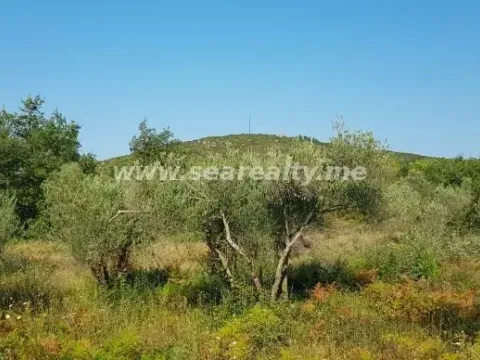 Prodaja, plac, 5600m², Krimovica, Kotor - image 4