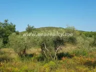 Prodaja, plac, 5600m², Krimovica, Kotor - image 4