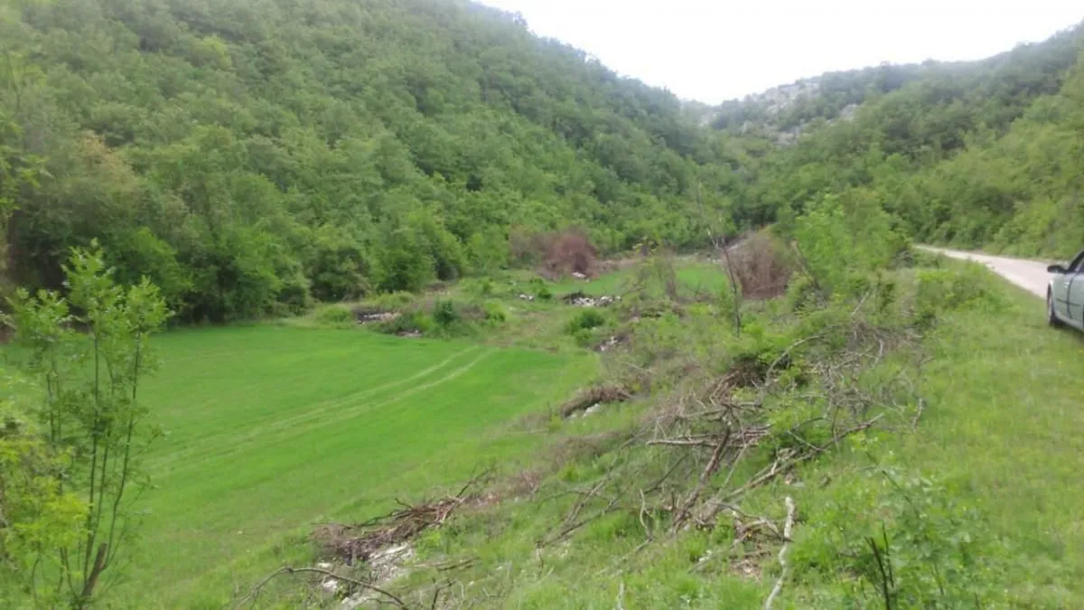 Prodaja, plac, 21800m², Grahovo, Nikšić