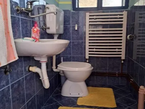 Prodaja, kuća, 205m², Vrbas, Novi Sad - image 14