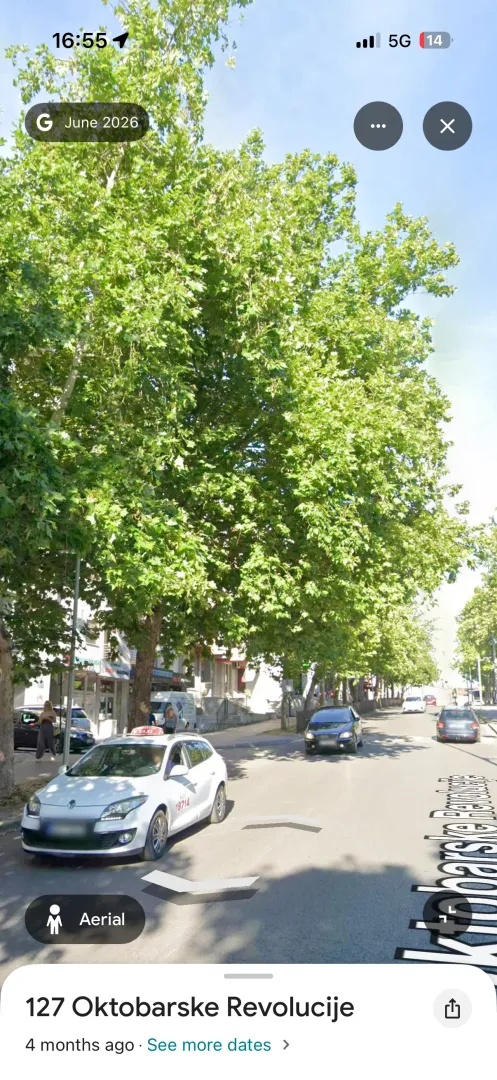 View of the street with trees in front of the building.