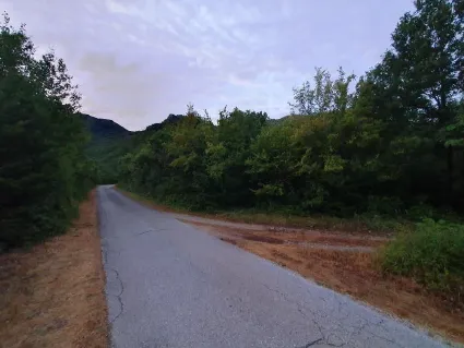 Prodaja, plac, 4781m², Grahovac, Nikšić