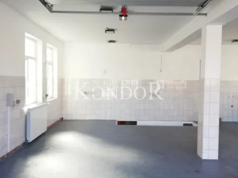 Izdavanje, poslovni prostor, 350m², Altina, Beograd - image 5