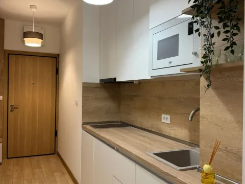 Izdavanje, jednosoban stan, 45m², Budva, Crna Gora - image 5