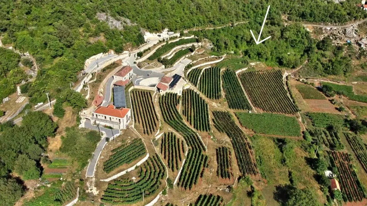 Sale, land lot, 4400m², Dobrsko Selo, Cetinje