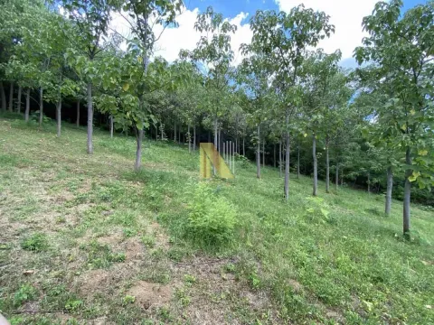 Sale, land lot, 5347m², Sremski Karlovci, Novi Sad - image 5