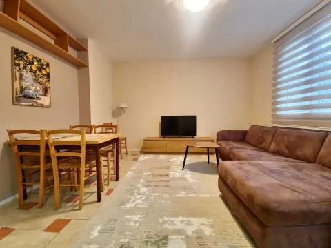 Rent, one bedroom apartment, 40m², Budva, Crna Gora - image 8
