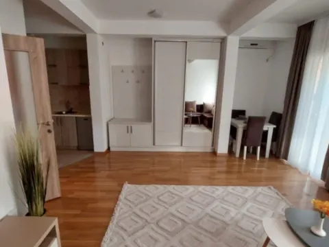 Prodaja, garsonjera, 35m², Ljubović, Podgorica - image 6