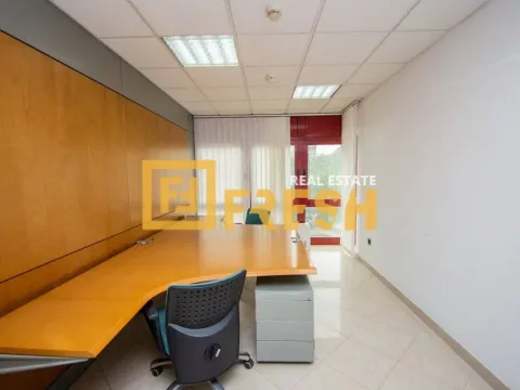 Izdavanje, poslovni prostor, 412m², Preko Morače, Podgorica - image 9