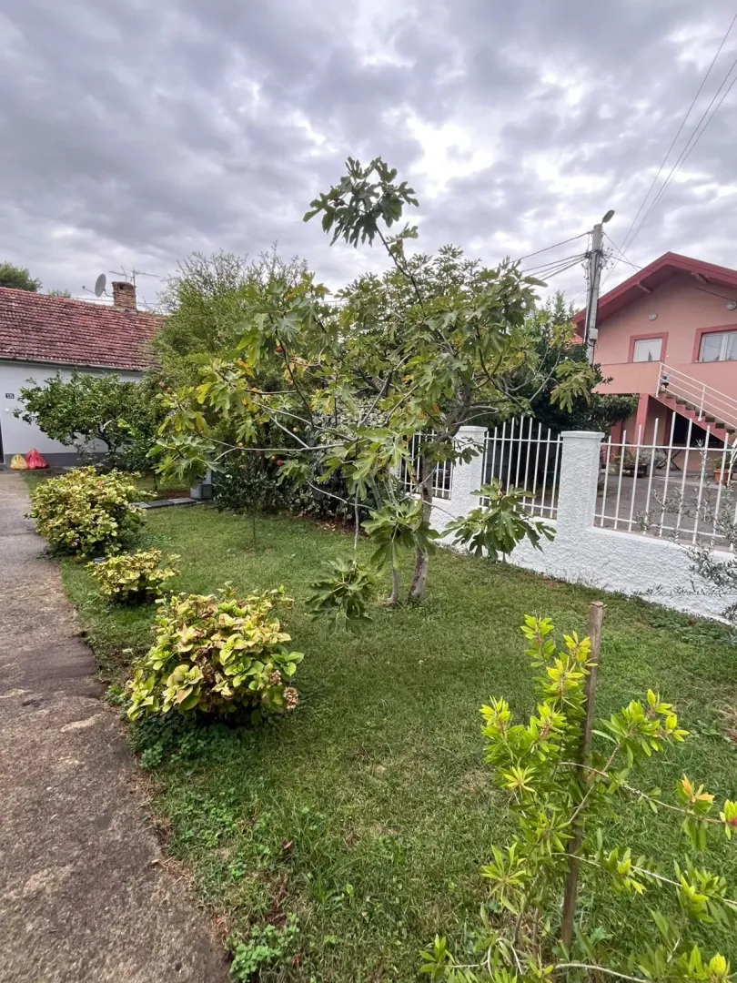 Green yard with trees and a fenced boundary in front of the house.