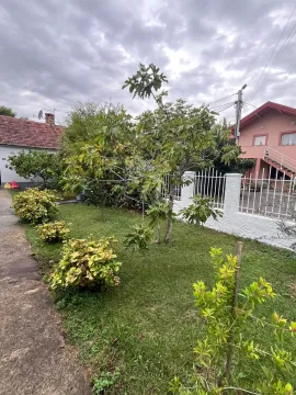Green yard with trees and a fenced boundary in front of the house. - image 11