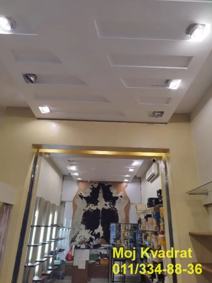 Rent, office space, 170m², Botanička Bašta, Palilula Sve Podlokacije