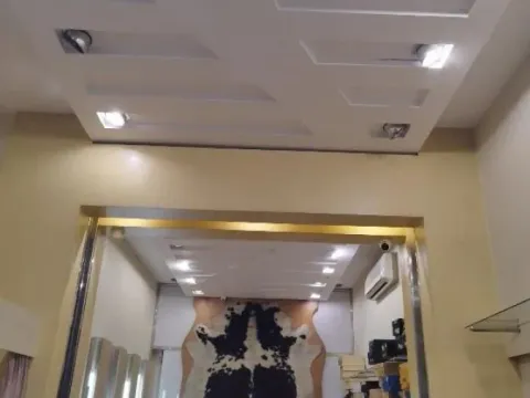 Izdavanje, poslovni prostor, 170m², Botanička Bašta, Palilula Sve Podlokacije - image 6