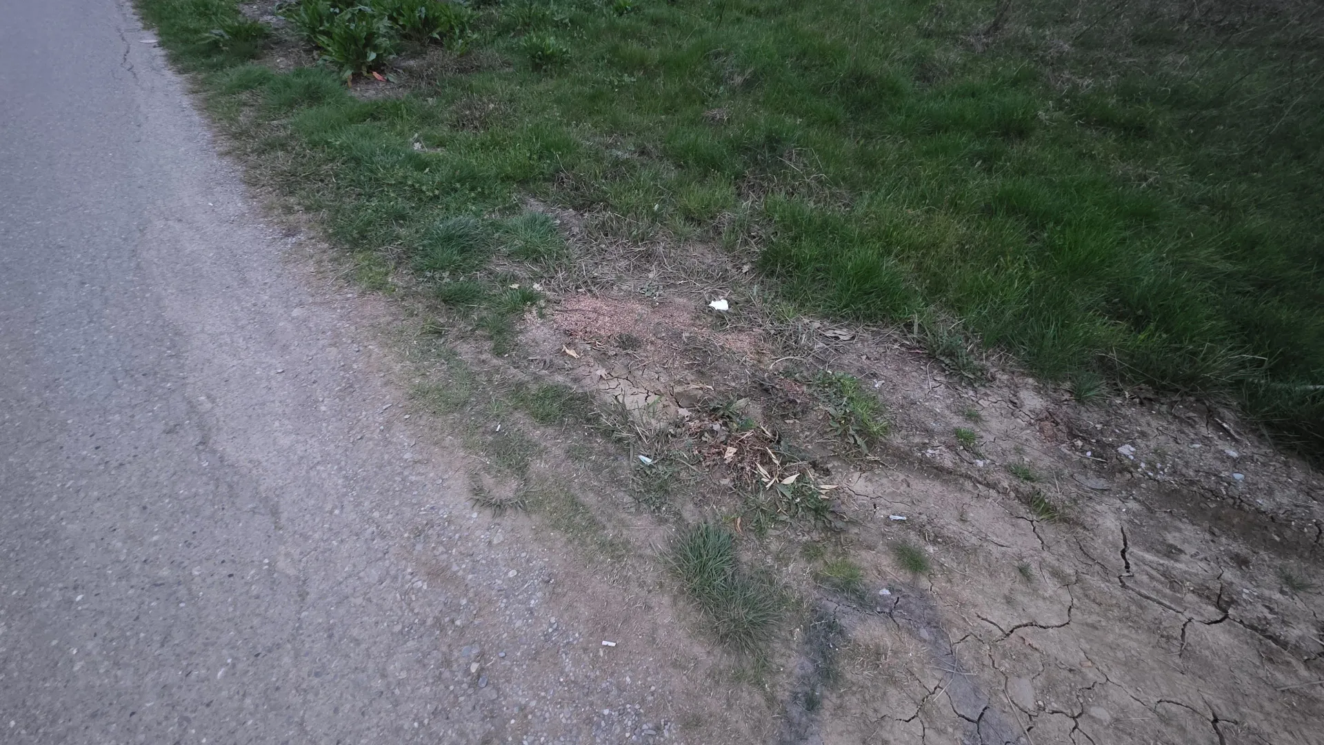 Prodaja, plac, 400m², Masline, Podgorica