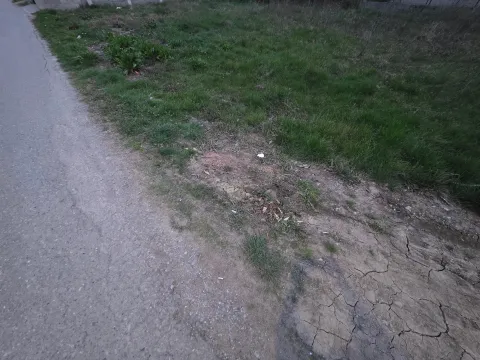 Zemljište in Masline