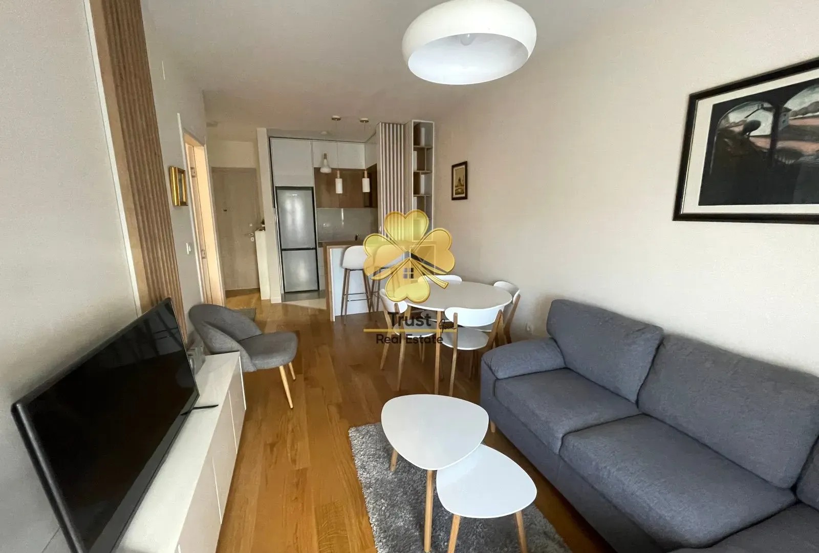 Rent, one bedroom apartment, 45m², City Kvart, Podgorica