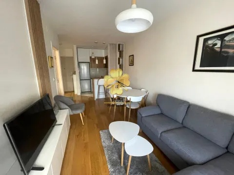 Izdavanje, jednosoban stan, 45m², City Kvart, Podgorica - image 3