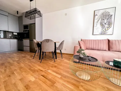 Rent, one bedroom apartment, 45m², Bečići, Budva - image 11