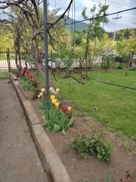 Prodaja, kuća, 180m², Surdulica, Srbija - image 12