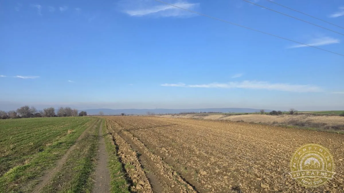 Sale, land lot, 2950m², Novi Sad, Srbija