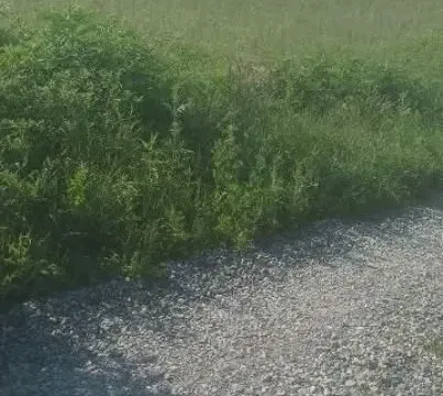 Prodaja, plac, 86m², Voždovac Sve Podlokacije, Beograd