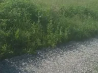 Prodaja, plac, 86m², Voždovac Sve Podlokacije, Beograd - image 1