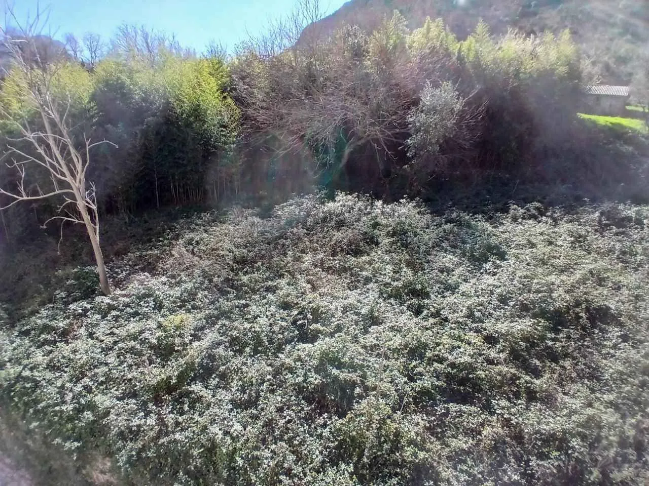 Pogled na zeleno dvorište i okolnu prirodu.